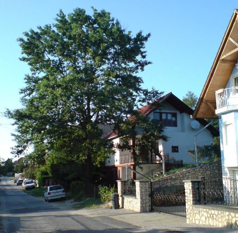 Budai Garden House Хевиз Номер фото