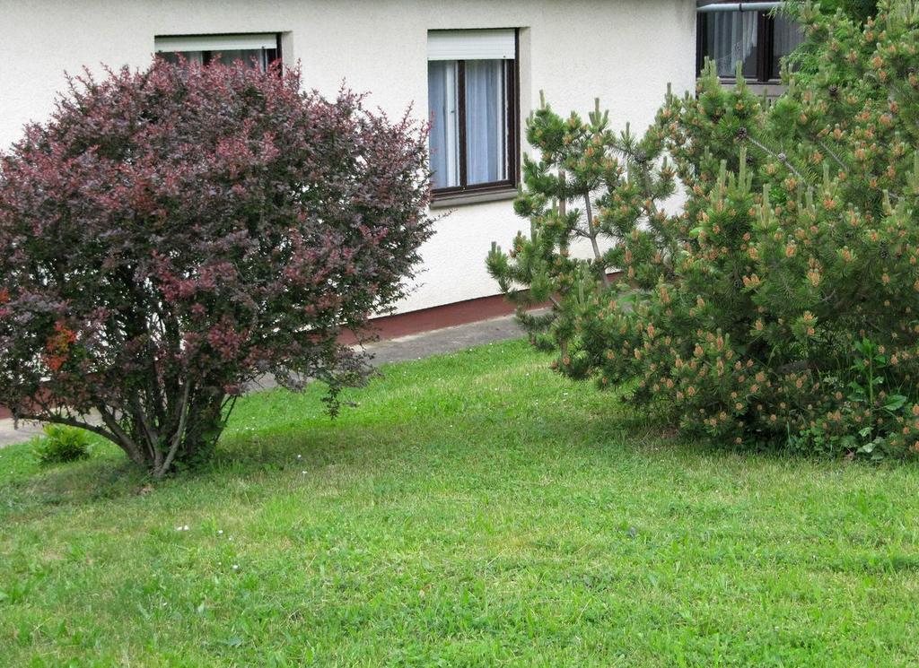 Budai Garden House Хевиз Номер фото