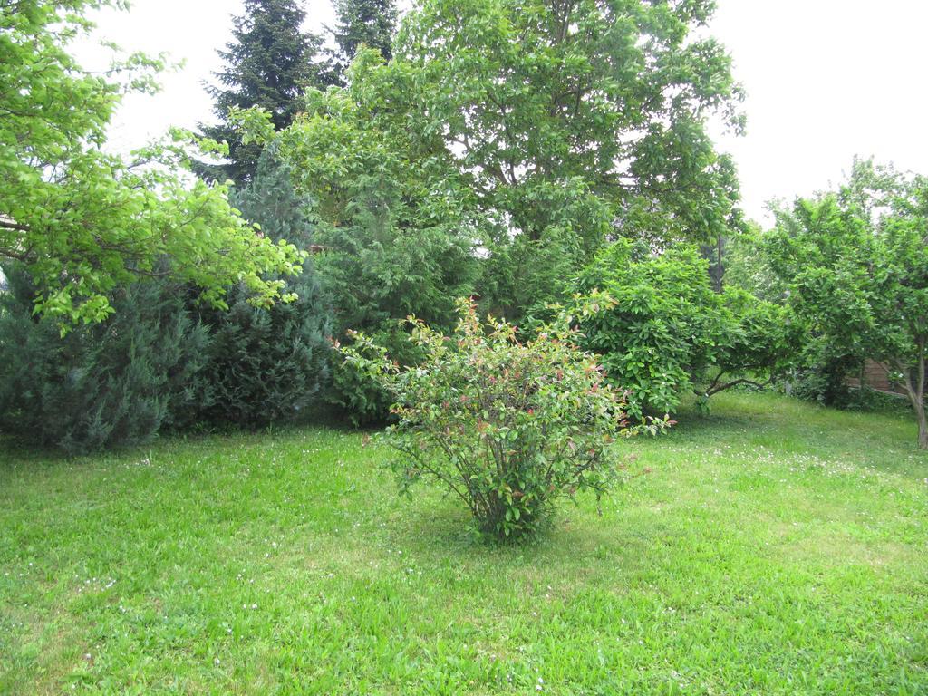 Budai Garden House Хевиз Номер фото